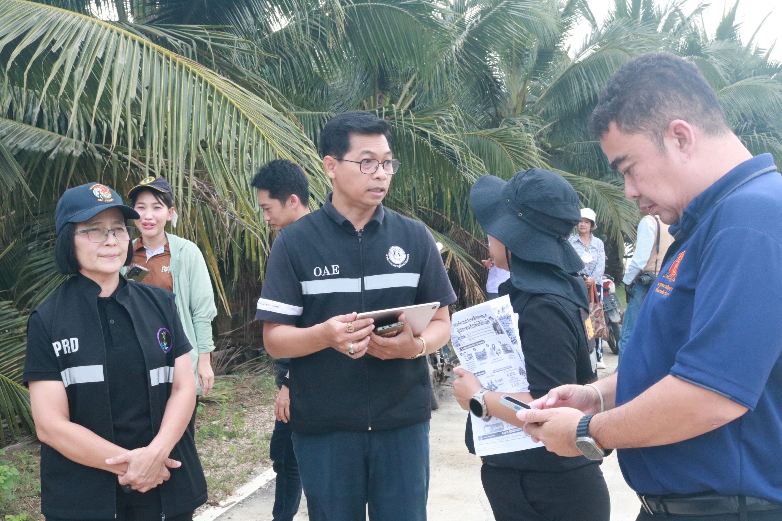 สศท.10 ร่วมลงพื้นที่สำรวจความเสียหายสวนมะพร้าวน้ำหอมจากน้ำท่วม